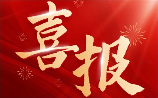 集團(tuán)榮膺2025中國民營企業(yè)500強(qiáng)第249位，制造業(yè)民營企業(yè)500強(qiáng)第177位，排名較去年雙雙大幅提升